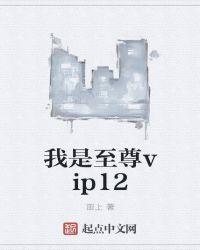 我是至尊vip吗