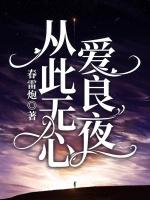 从此无心爱良夜虐文