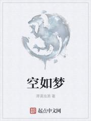 空如梦对什么