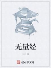 无量经文