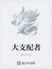 就是支配者