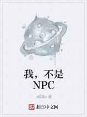 我不是NPC橙光