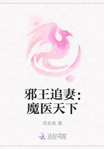 邪王追妻魔医天下