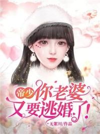 帝少你老婆又要逃婚了无絮川