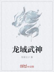 龙域是什么公司