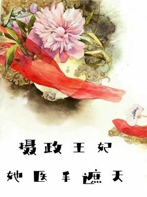 摄政王妃她医手遮天花弄影