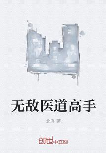 无敌医道高手张一针txt