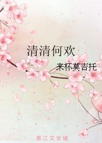 女主叫何清欢