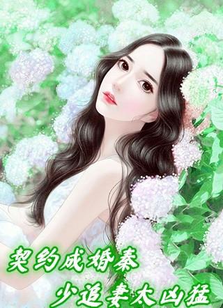 契约成婚之宠妻入骨全文免费阅读