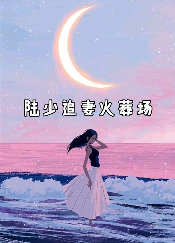 陆大人追妻火葬场