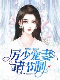 厉少宠妻请节制白小时完整版