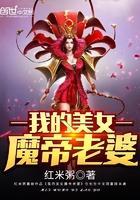 我的美女魔帝老婆讲了什么