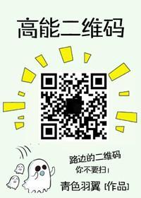 高能二维码全文番外TXT