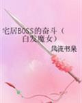 宅居BOSS的奋斗(白发魔女) 晋江