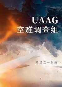 uaag空难调查组是双洁吗