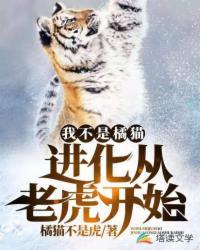 我不是橘猫!进化从老虎开始漫画全集