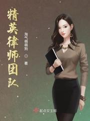 精英律师何嘉一的身份