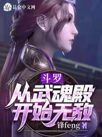 斗罗从武魂殿开始无敌 锋feng