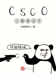 CSgo小蜜蜂最强选手