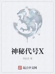 神秘代码到底讲什么