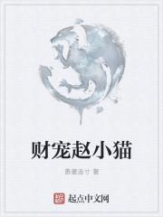 小猫名字招财