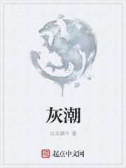 灰潮是什么