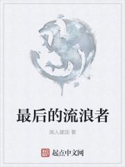 最后的流浪者西瓜视频