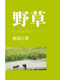 野草属于乡间大地在城市里被水泥丛林挤的男友