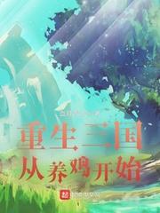 重生三国从养鸡开始笔趣阁手机版