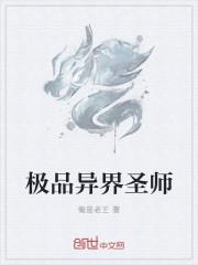 极品圣师起点