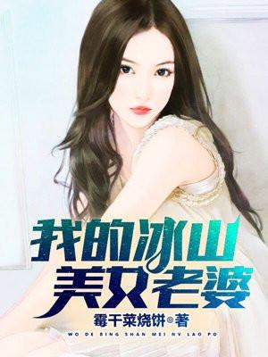 我的冰山美女老婆1002无标题