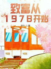 致富从1978开始txt