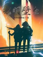 光明壁垒无错版