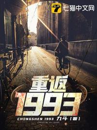 重返1993免费阅读