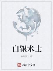 白银骑士什么意思