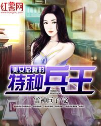 美女总裁的特种兵王秦风