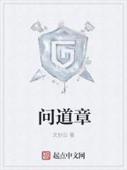 问道章文抄公txt