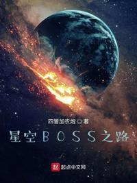 星空BOSS之路精校txt