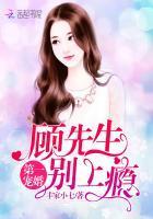 第一宠婚顾先生别上瘾epub