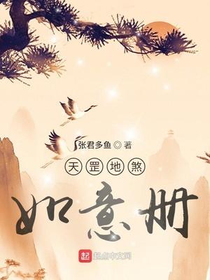 天罡地煞如意册 txt