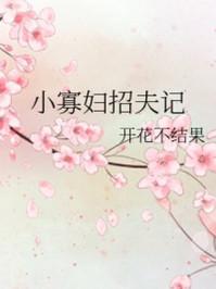 小寡妇招夫记开花结果