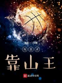 nba靠山王 零点看书