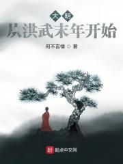 大明从洪武末年开始吧