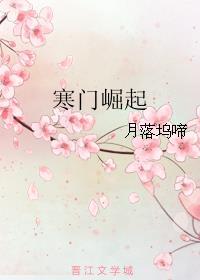 寒门崛起全集完整版