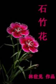 石竹花花语是什么意思