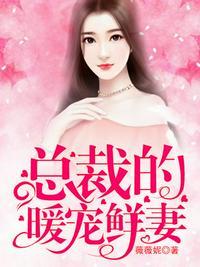 总裁的新婚暖妻