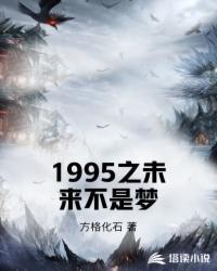 1995年谁写过一本叫做未来之路的书