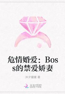 危情婚爱boss的禁爱娇妻 沐夕暖暖