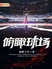 nba球场俯瞰图