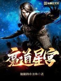 魔道星技能宏